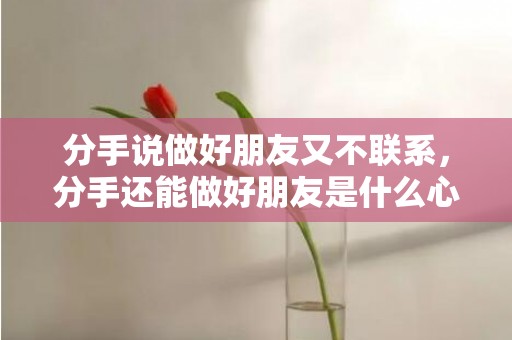 分手说做好朋友又不联系，分手还能做好朋友是什么心理问题