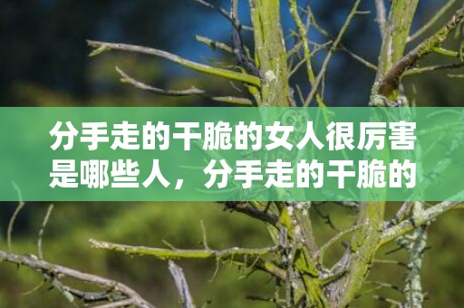 分手走的干脆的女人很厉害是哪些人，分手走的干脆的女人很厉害 果断心狠 分手就断的彻底的女生