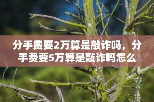 分手费要2万算是敲诈吗，分手费要5万算是敲诈吗怎么办呢判几年