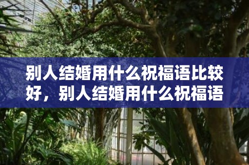 别人结婚用什么祝福语比较好，别人结婚用什么祝福语表达心情