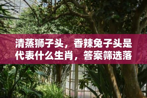 清蒸狮子头，香辣兔子头是代表什么生肖，答案筛选落实