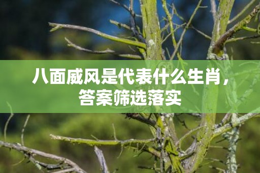 八面威风是代表什么生肖，答案筛选落实