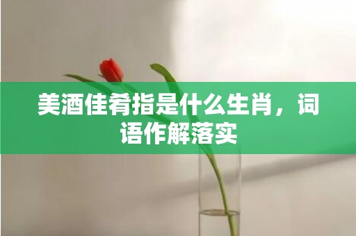 美酒佳肴指是什么生肖，词语作解落实