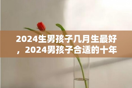 2024生男孩子几月生最好，2024男孩子合适的十年夜职业 什么工作就业远景好