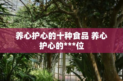 养心护心的十种食品 养心护心的***位
