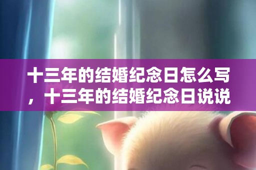 十三年的结婚纪念日怎么写，十三年的结婚纪念日说说？十三周年结婚纪念日经典短句