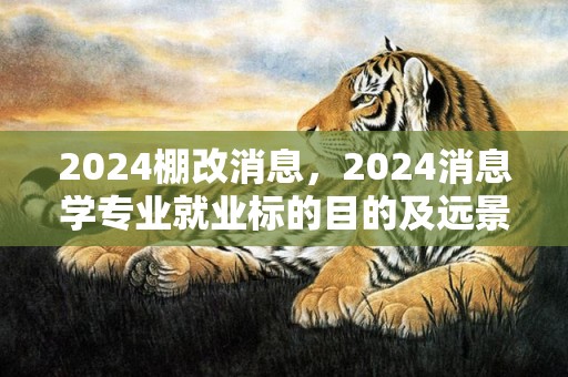 2024棚改消息，2024消息学专业就业标的目的及远景 好找工作吗