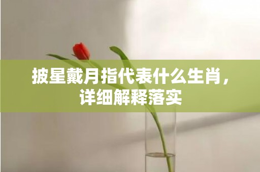 披星戴月指代表什么生肖，详细解释落实
