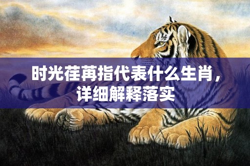 时光荏苒指代表什么生肖，详细解释落实