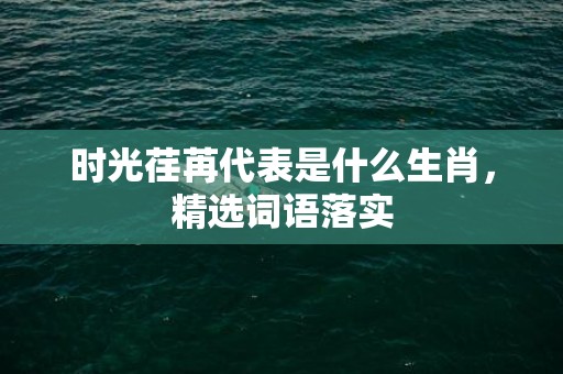 时光荏苒代表是什么生肖，精选词语落实