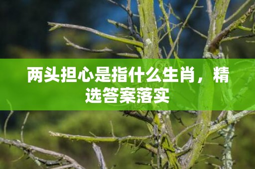 两头担心是指什么生肖，精选答案落实