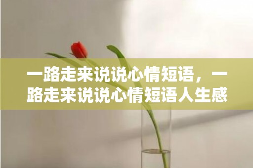 一路走来说说心情短语，一路走来说说心情短语人生感悟句子简短