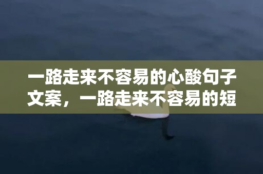一路走来不容易的心酸句子文案，一路走来不容易的短句文案