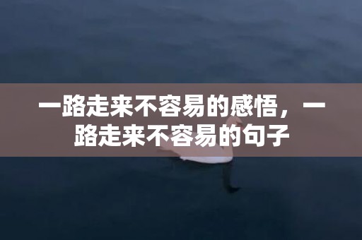 一路走来不容易的感悟，一路走来不容易的句子