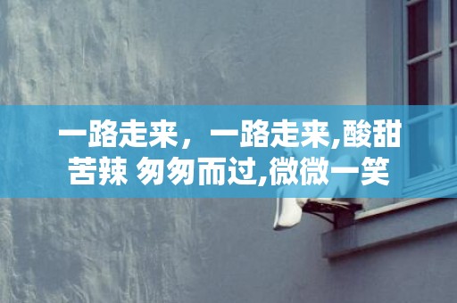 一路走来，一路走来,酸甜苦辣 匆匆而过,微微一笑