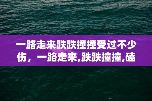 一路走来跌跌撞撞受过不少伤，一路走来,跌跌撞撞,磕磕碰碰,有苦有甜说说语句