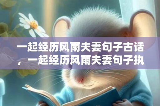 一起经历风雨夫妻句子古话，一起经历风雨夫妻句子执子之手,与子偕老