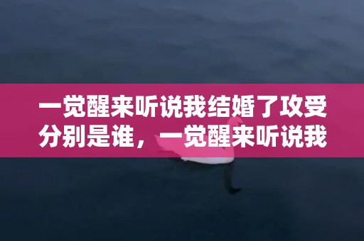 一觉醒来听说我结婚了攻受分别是谁，一觉醒来听说我结婚了 百度网盘