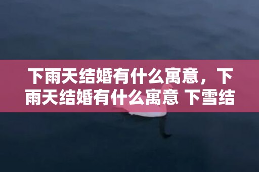 下雨天结婚有什么寓意，下雨天结婚有什么寓意 下雪结婚的说法