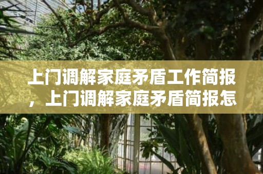 上门调解家庭矛盾工作简报，上门调解家庭矛盾简报怎么写