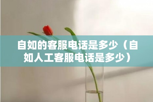 自如的客服电话是多少（自如人工客服电话是多少）