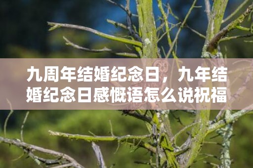 九周年结婚纪念日，九年结婚纪念日感慨语怎么说祝福语 祝福结婚纪念日的话语