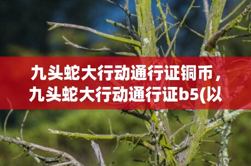 九头蛇大行动通行证铜币，九头蛇大行动通行证b5(以前的大行动通行证)