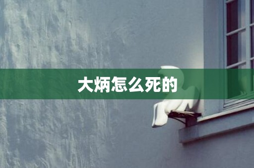 大炳怎么死的