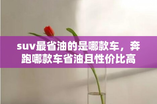 suv最省油的是哪款车，奔跑哪款车省油且性价比高