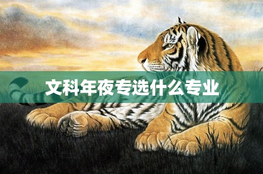 文科年夜专选什么专业