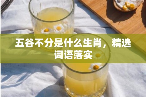 五谷不分是什么生肖，精选词语落实