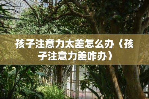 孩子注意力太差怎么办（孩子注意力差咋办）