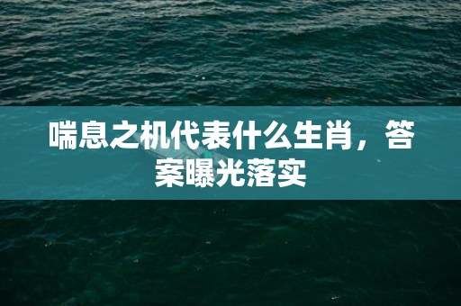 喘息之机代表什么生肖，答案曝光落实