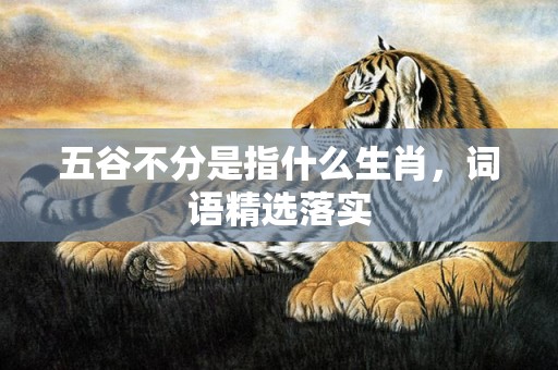 五谷不分是指什么生肖，词语精选落实