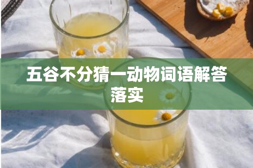 五谷不分猜一动物词语解答落实