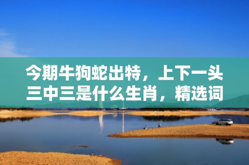 今期牛狗蛇出特，上下一头三中三是什么生肖，精选词语落实