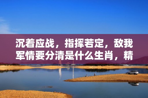 沉着应战，指挥若定，敌我军情要分清是什么生肖，精选词语落实