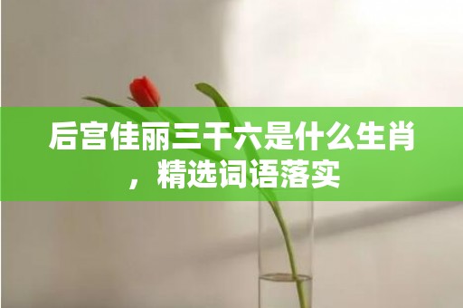 后宫佳丽三干六是什么生肖，精选词语落实