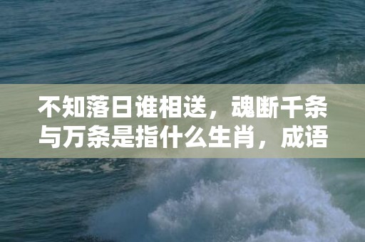 不知落日谁相送，魂断千条与万条是指什么生肖，成语解释落实