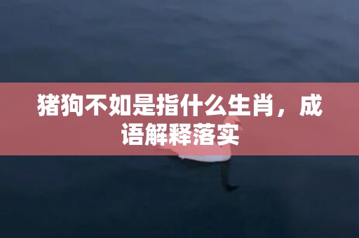 猪狗不如是指什么生肖，成语解释落实