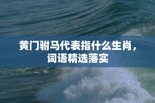黄门驸马代表指什么生肖，词语精选落实