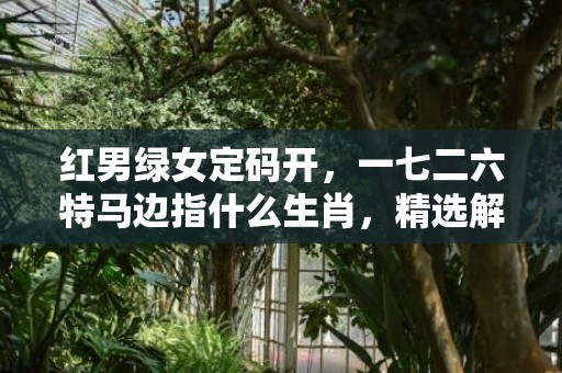 红男绿女定码开，一七二六特马边指什么生肖，精选解答落实
