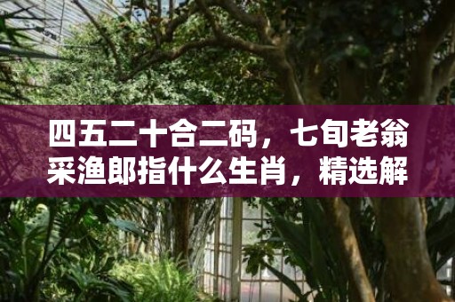 四五二十合二码，七旬老翁采渔郎指什么生肖，精选解答落实