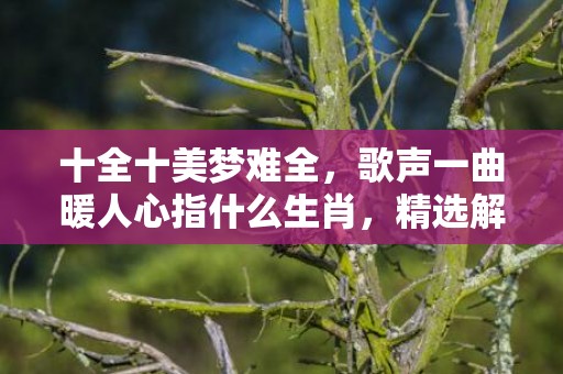 十全十美梦难全，歌声一曲暖人心指什么生肖，精选解答落实