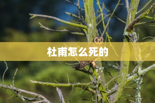 杜甫怎么死的
