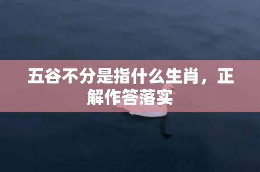 五谷不分是指什么生肖，正解作答落实