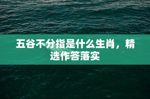 五谷不分指是什么生肖，精选作答落实