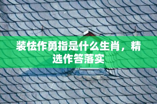 装怯作勇指是什么生肖，精选作答落实