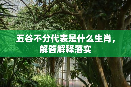 五谷不分代表是什么生肖，解答解释落实