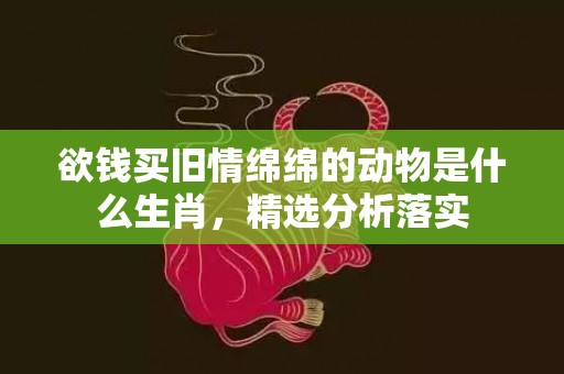 欲钱买旧情绵绵的动物是什么生肖，精选分析落实